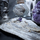 Cat-acombs Portal Ring Amethyst - Bones silver ring - LIMITED