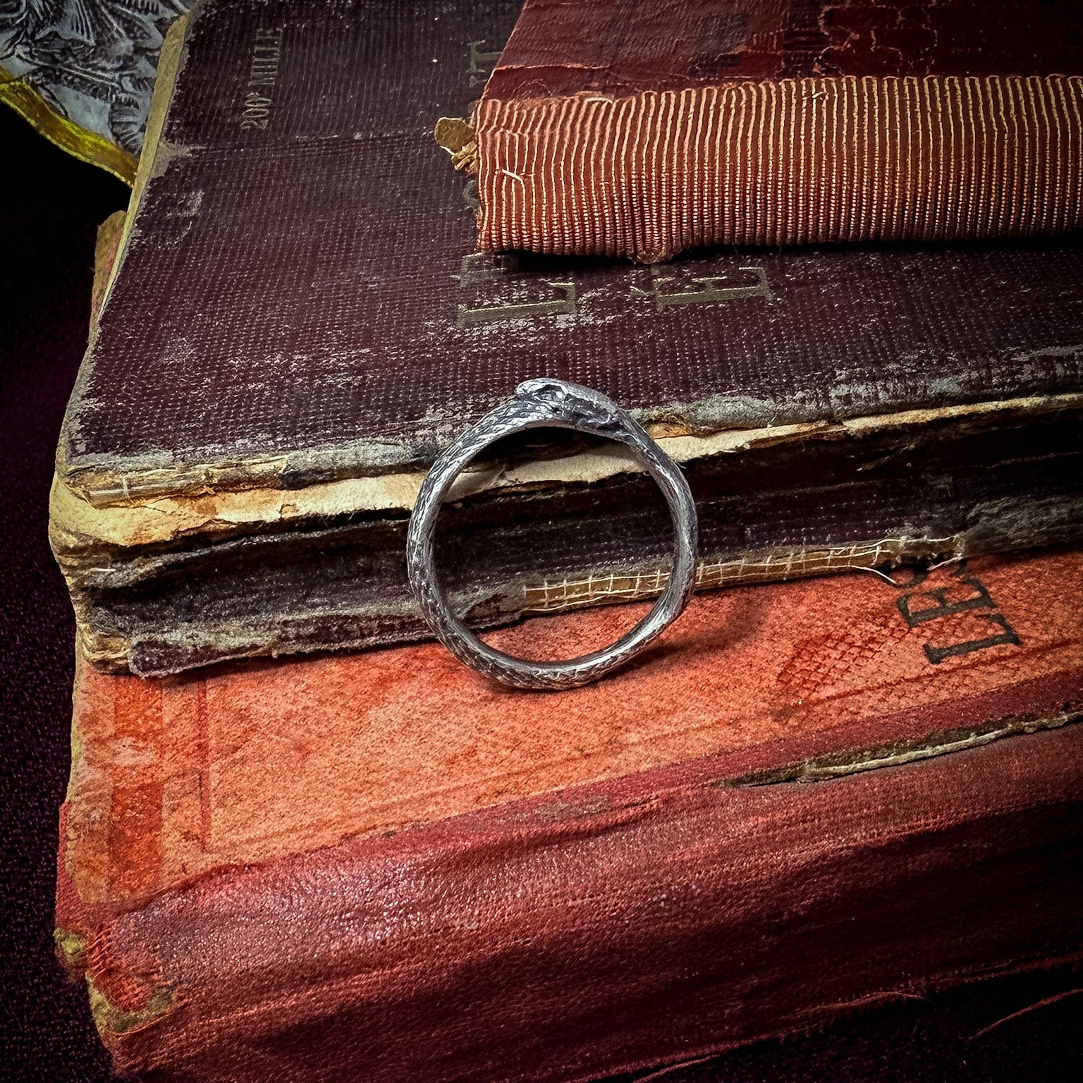 Ouroboros Ring