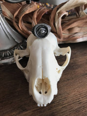 Witchy Eye Signet Ring - Eye Put a Spell on You - Ready to Ship